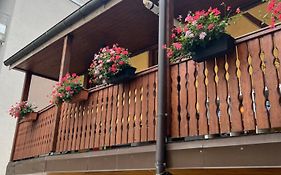 Colmar Charmant Logement